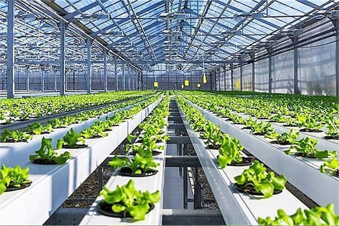 Tarımsal Üretime Yönelik İşletme ve Yatırım Kredilerinde Faiz İndirimi