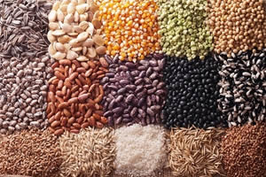 Türkiye`den 85 Ülkeye Tohum İhracatı