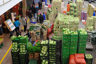 Tarım ve Gıda İhracatı Arttı