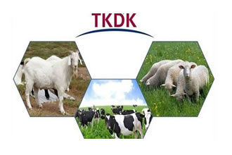 TKDK Erzurum`da Çiftçilere Hibe Desteği Veriyor