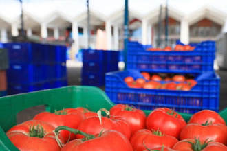 Rusya nın Domates Kotası TBMM de