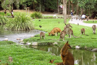 Türkiye nin Geleneksel Habitat Bilgisi Kayıt Altına Alınıyor