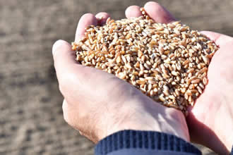 Destek Ödemeleri Bugün Başlıyor