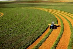 Tarımsal Hasılada Avrupa da Lider Ülkeyiz