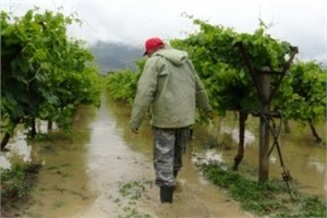 Meteoroloji den Çok Sayıda İle Sağanak Yağış Uyarısı