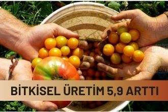 Bitkisel Üretim Yüzde 5 9 Arttı