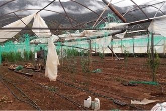 Antalya daki Afetzedelere 10 Milyon Devlet Desteği