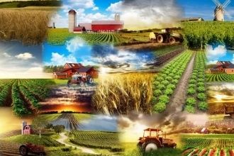 2020 de Tarım ve Hayvancılık