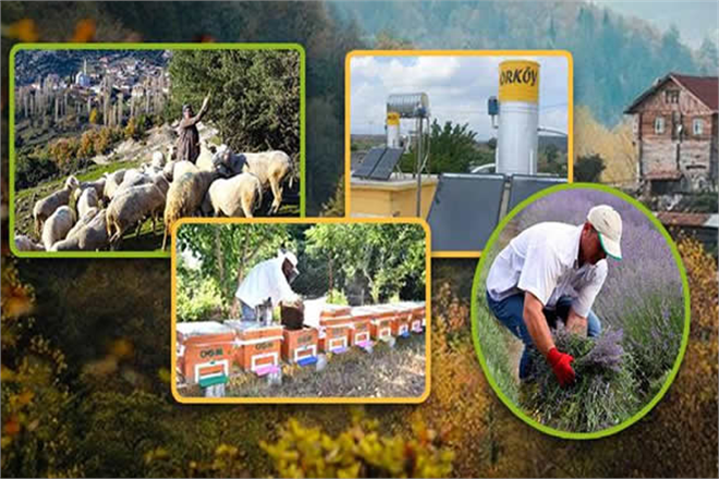 Son 17 Yılda Orman Köylüsüne 2 8 Milyar Liralık Destek