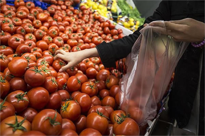 Tohumdan Hasada Denetim