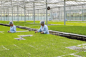 Önceliğimiz Tarım Olmalı