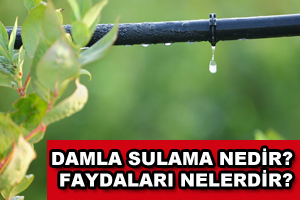 Damla Sulama Nedir Faydaları Nelerdir