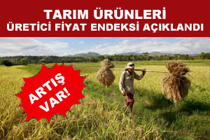 Tarım Ürünleri Üretici Fiyat Endeksi Açıklandı
