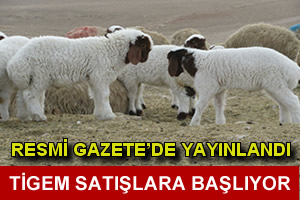 TİGEM Satışlara Başlıyor
