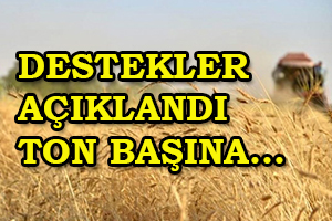 Desteklemeler Açıklandı Ton Başına