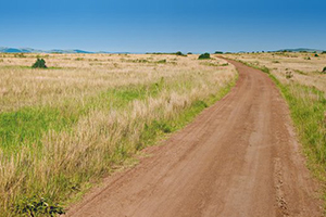 Hadim de Bahçe Yolları Bahara Hazırlanıyor