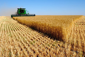 Bitkisel Ürün Desteklerine Yönelik Başvuru Tarihleri Uzatıldı