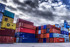 Tarımsal Ürünlerin İthalatına Kayıt Şartı