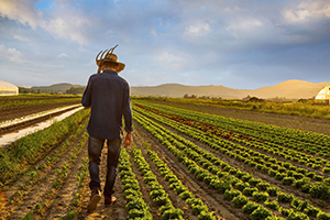 Reuters Britanya Koronavirüs Nedeniyle Vatandaşlarına Tarım İşçisi Olma Çağrısında Bulundu