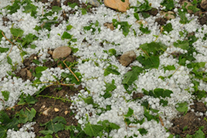 Doğanşehir de Yağmur ve Dolu Etkili Oldu