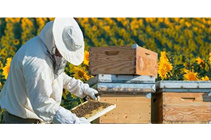 Vali Civelek Açıkladı Muğla da 65 Yaş Üstü Arıcıların Seyahati
