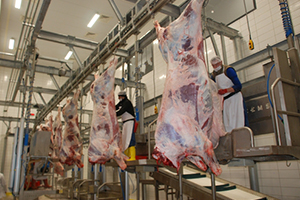 Trabzon Et Kombinası nın İhalesi 21 Nisan da Yapılacak