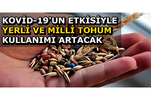 Kovid 19 un Etkisiyle Yerli ve Milli Tohum Kullanımı Artacak
