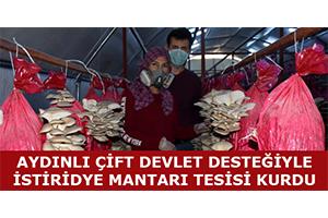 Aydınlı Çift Devlet Desteğiyle İstiridye Mantarı Tesisi Kurdu