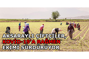 Aksaraylı Çiftçiler Kovid 19 a Rağmen Ekimi Sürdürüyor