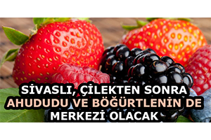 Sivaslı, Çilekten Sonra Ahududu ve Böğürtlenin De Merkezi Olacak