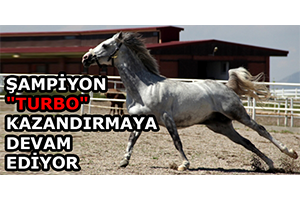 Şampiyon Turbo Kazandırmaya Devam Ediyor