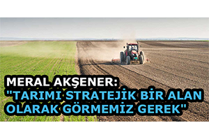 Meral Akşener Tarımı Stratejik Bir Alan Olarak Görmemiz Gerek