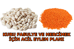 Kuru Fasulye Ve Mercimek İçin Acil Eylem Planı