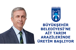 Ankara Büyükşehir Belediyesine Ait Tarım Arazilerinde Üretim Başlıyor