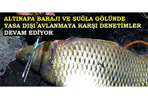 Altınapa Barajı ve Suğla Gölünde Yasa Dışı Avlanmaya Karşı Denetimler Devam Ediyor