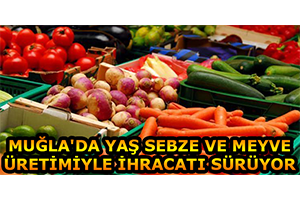 Muğla da Yaş Sebze ve Meyve Üretimiyle İhracatı Sürüyor