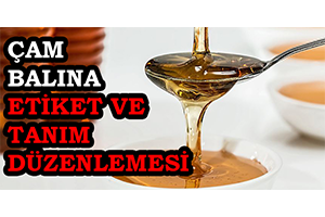 Çam Balına Etiket ve Tanım Düzenlemesi