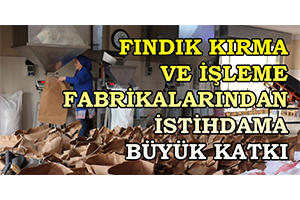 Fındık Kırma Ve İşleme Fabrikalarından İstihdama Büyük Katkı