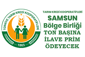 Tarım Kredi Kooperatifler Samsun Bölge Birliği Ton Başına İlave Prim Ödeyecek