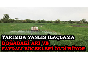Tarımda Yanlış İlaçlama Doğadaki Arı Ve Faydalı Böcekleri Öldürüyor