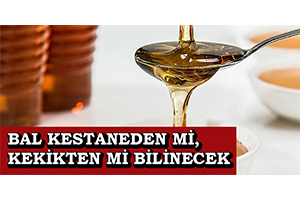 Bal Kestaneden Mi Kekikten Mi Bilinecek