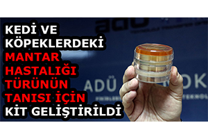 Kedi ve Köpeklerdeki Mantar Hastalığı Türünün Tanısı İçin Kit Geliştirildi