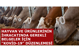 Hayvan ve Ürünlerinin İhracatında Gerekli Belgeler İçin Kovid 19 Düzenlemesi