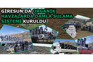 Giresun'da Organik Havzalarda Damla Sulama Sistemi Kuruldu