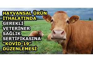 Hayvansal Ürün İthalatında Gerekli Veteriner Sağlık Sertifikasına Kovid 19 Düzenlemesi