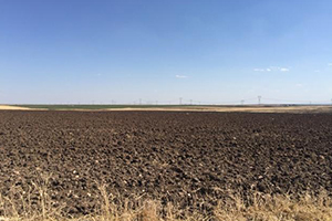 18 20 Yaş Arasındakilere Sokağa Çıkma Yasağı yla İlgili Ek Genelge