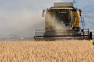 Tarım Sigortaları Havuzu 2019 da 1 3 Milyar TL Hasar Ödemesi Yaptı