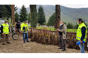 Ordu da Üreticiler Fındığın Yanında Kestaneyle Ek Gelir Sağlayacak