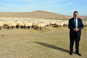 Başkan Çelik Atıl Durumdaki Hazine Arazilerine Yem Bitkisi
