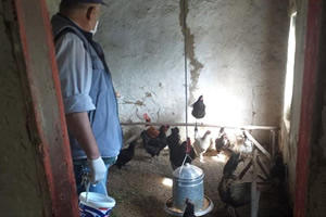 CİMER e Talep Etti Karantina Bölgesindeki Hayvanlarının Yemlenmesini Sağladı